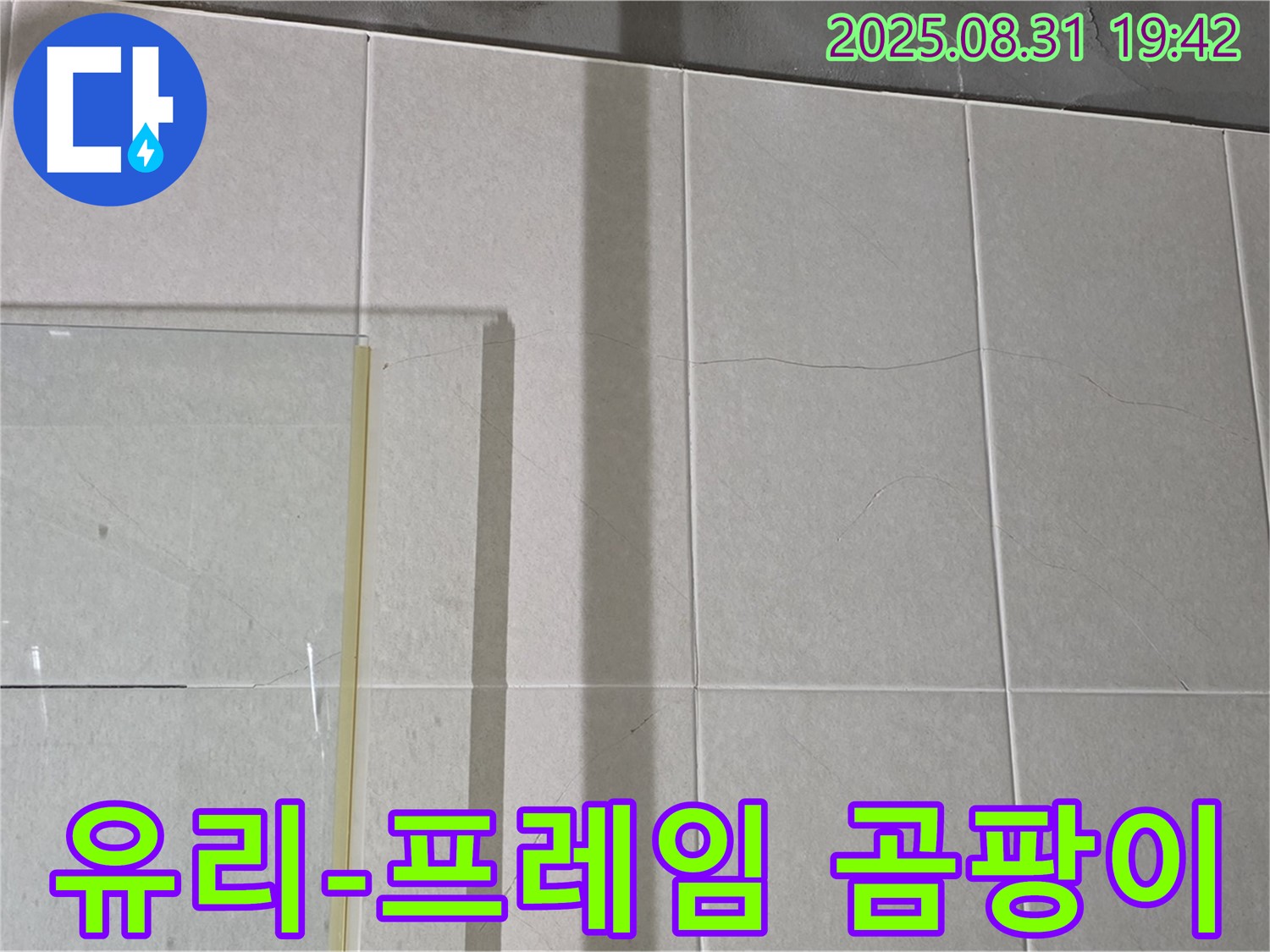 샤워부스 유리와 프레임 사이 곰팡이 - 곰팡이는 습한 환경과 누수의 증거!