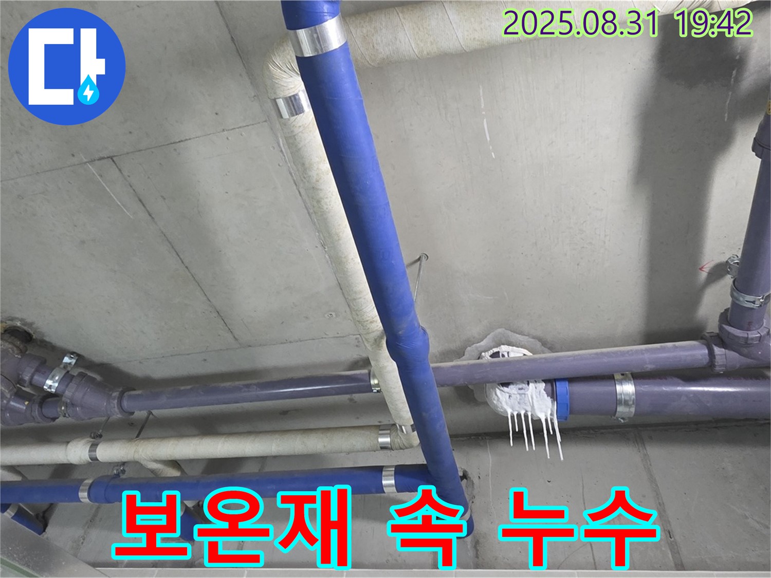 성남 분당 운중동 산운로 누수 - 배관 보온재 속에 숨어있는 누수 발견