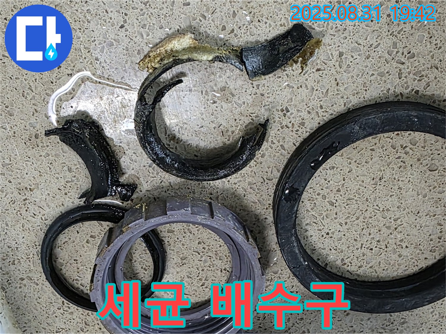 세균 번식의 온상 - 배수구