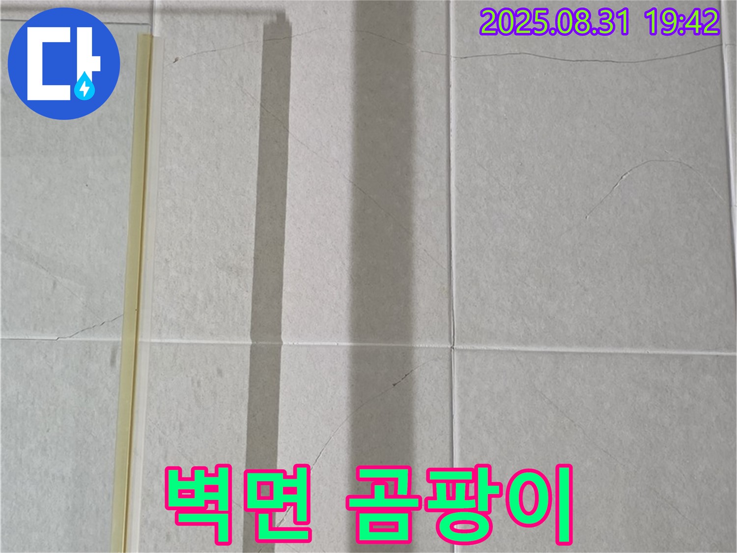 욕실 샤워기 벽면 - 곰팡이 대재앙?!