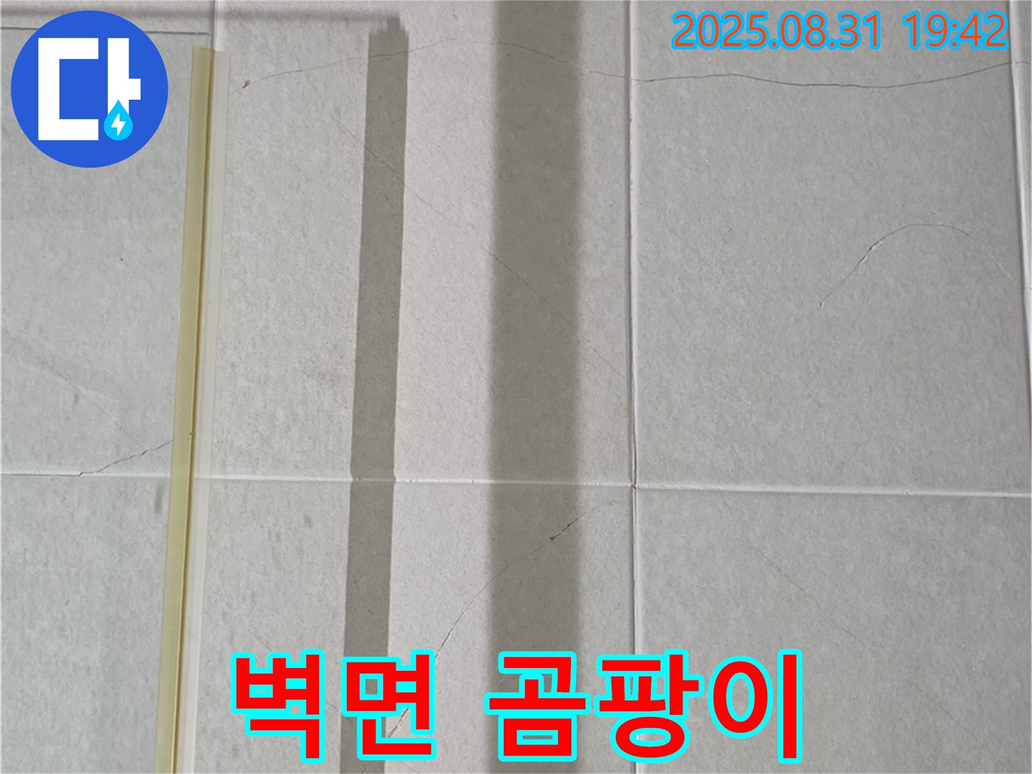 욕실 샤워기 벽면 - 곰팡이 행성 침공?!