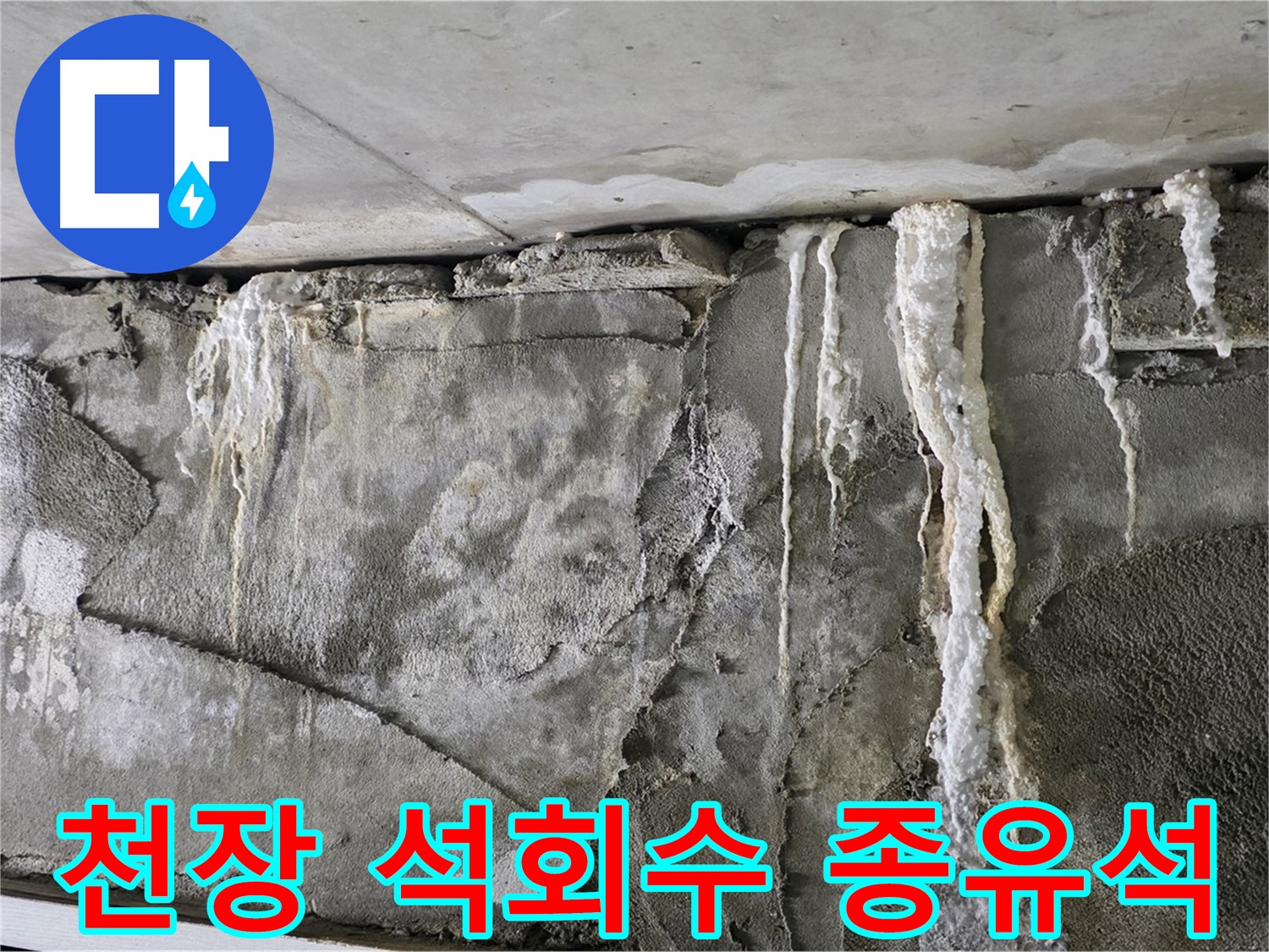 운중동 누수 - 천장 석회수 종유석, 건물 붕괴 직전