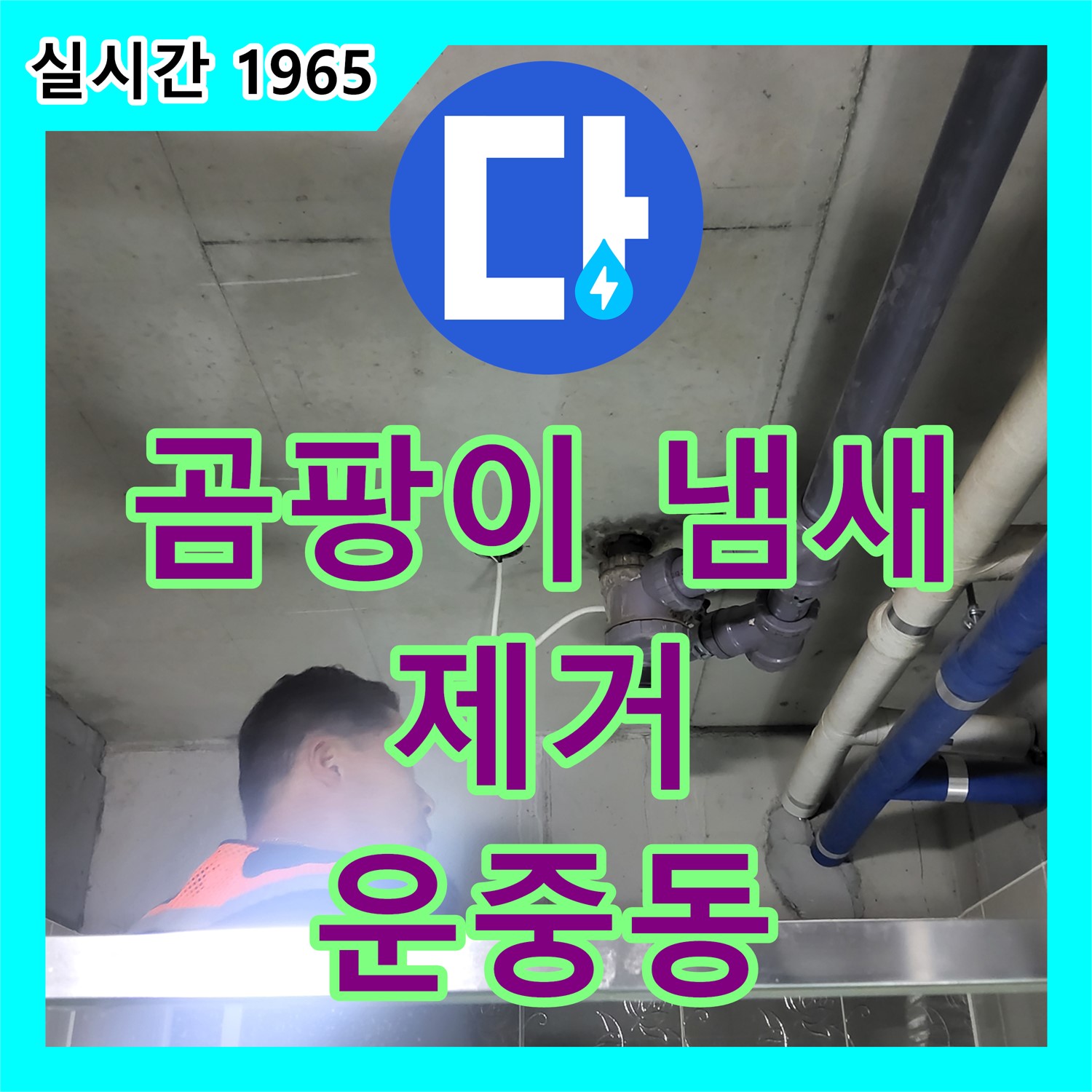 운중동 누수설비업체, 곰팡이 냄새 제거! 누수 방지 시공까지 완벽하게