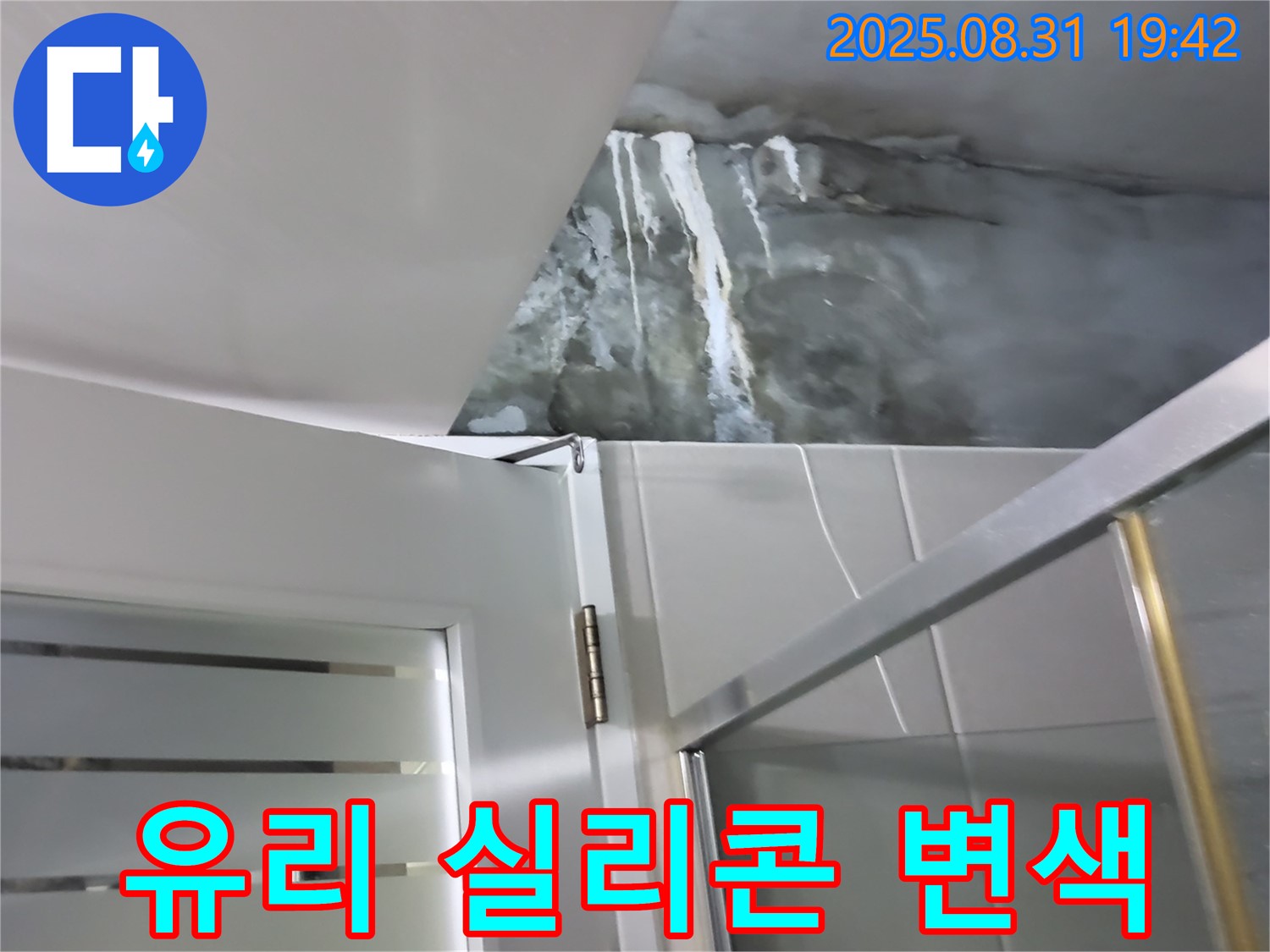 운중동 산운마을 - 샤워부스 유리 고정 실리콘 변색 - 곰팡이 제거 및 실리콘 재시공으로 깨끗하게!