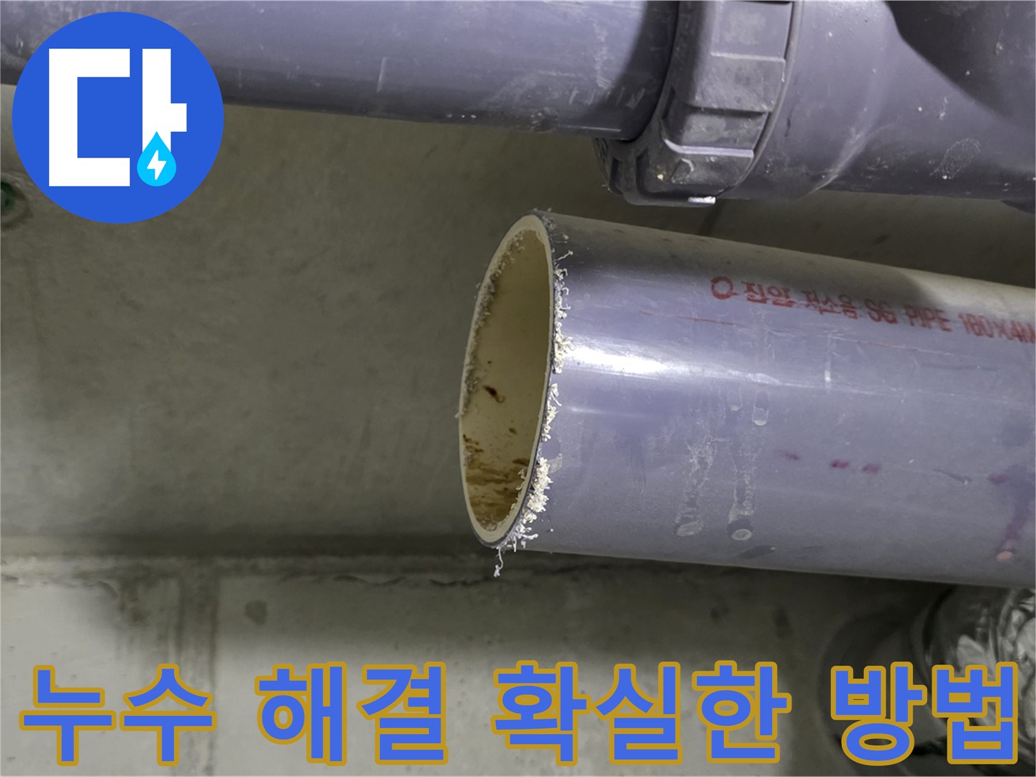 운중동 아파트 누수 현장 - 누수 문제를 해결하기 위해 배관을 점검하는 모습