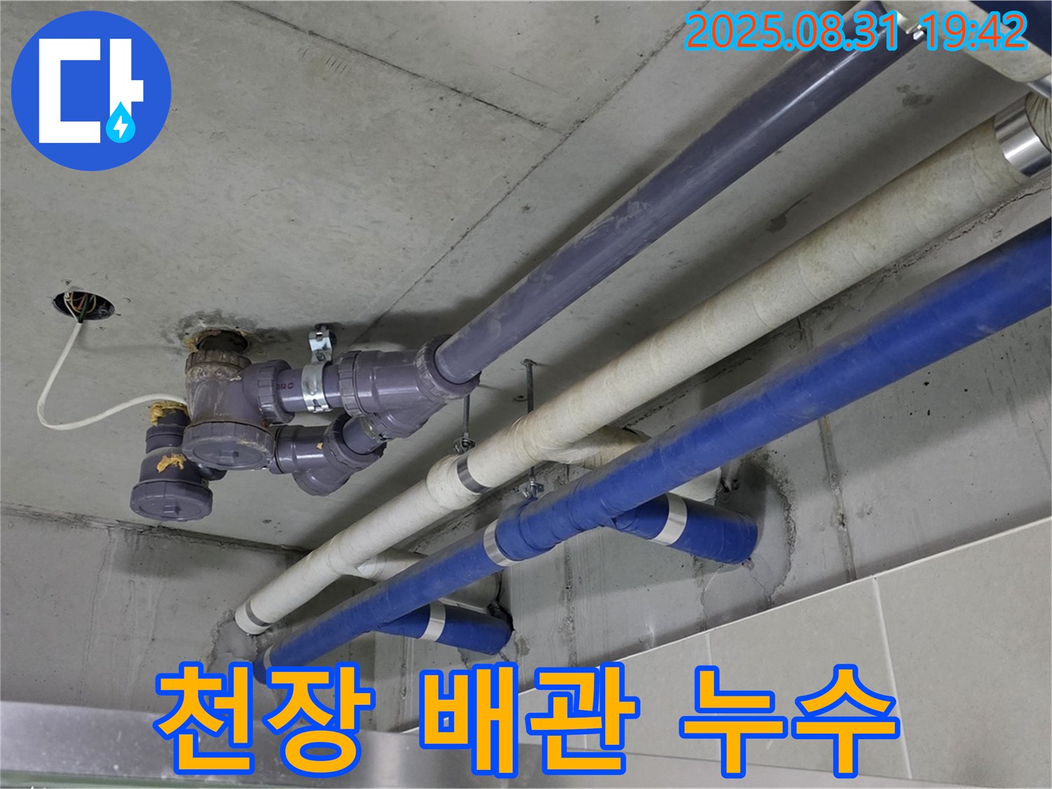 천장 배관 누수 - 복잡한 배관 연결 부위에서 누수 발생