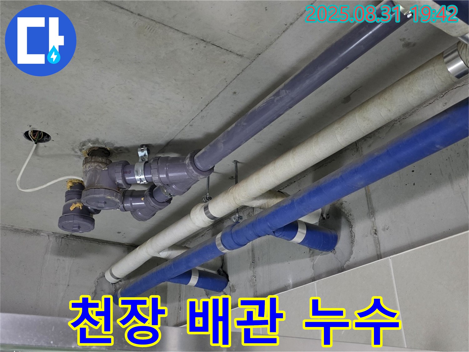 천장 배관 누수 - 천장 배관에서 누수 발생