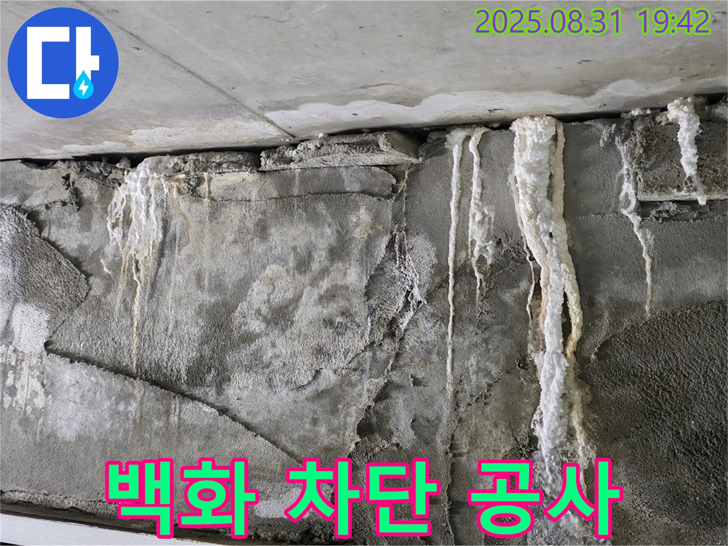 콘크리트 백화 - 완벽 차단 공사