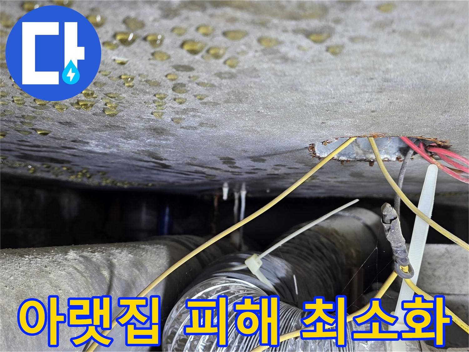광진구 능동 빌라 누수 공사 - 아랫집 피해 최소화