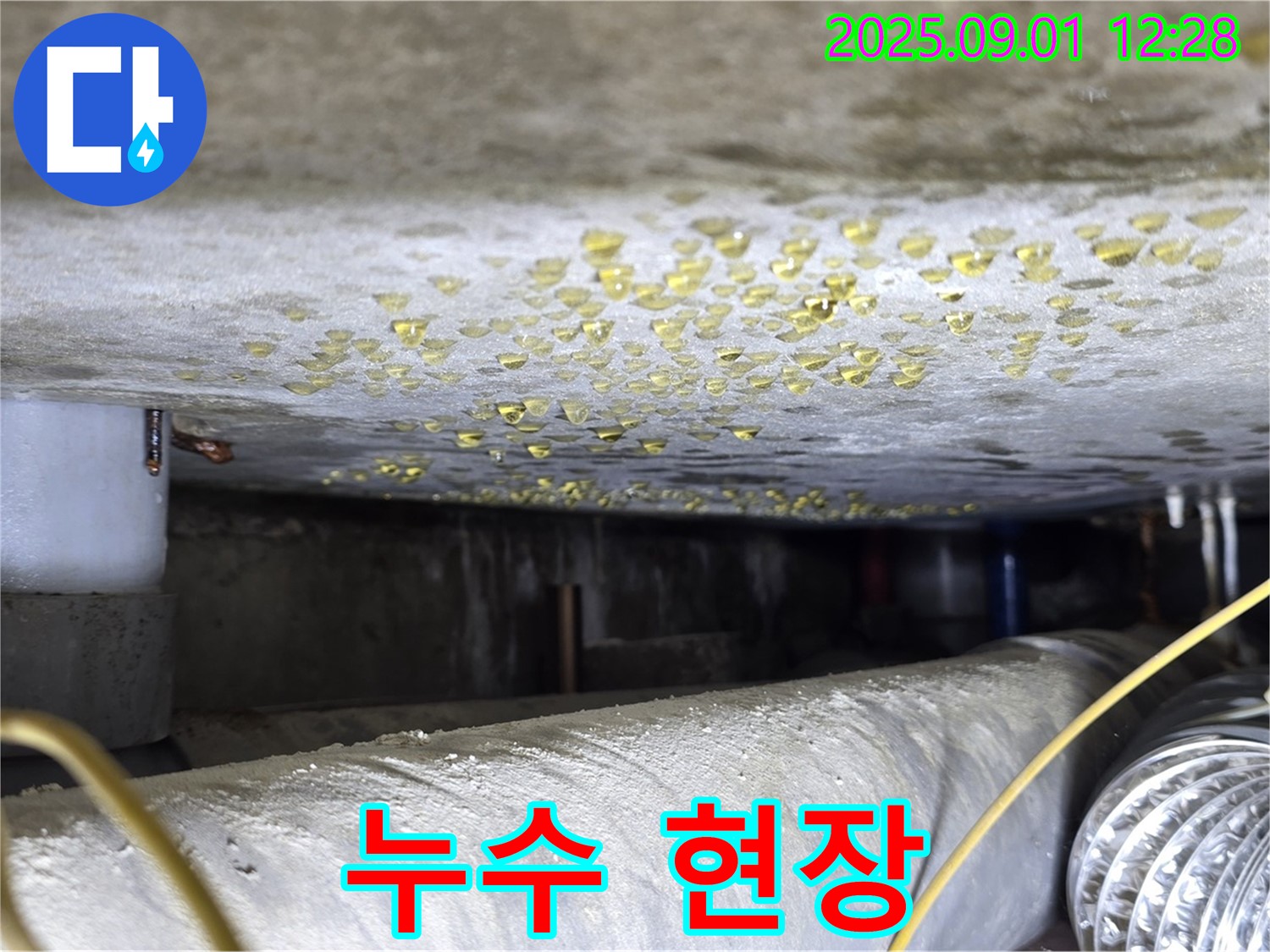 광진구 능동 빌라 누수 현장 - 누수 해결 전문가