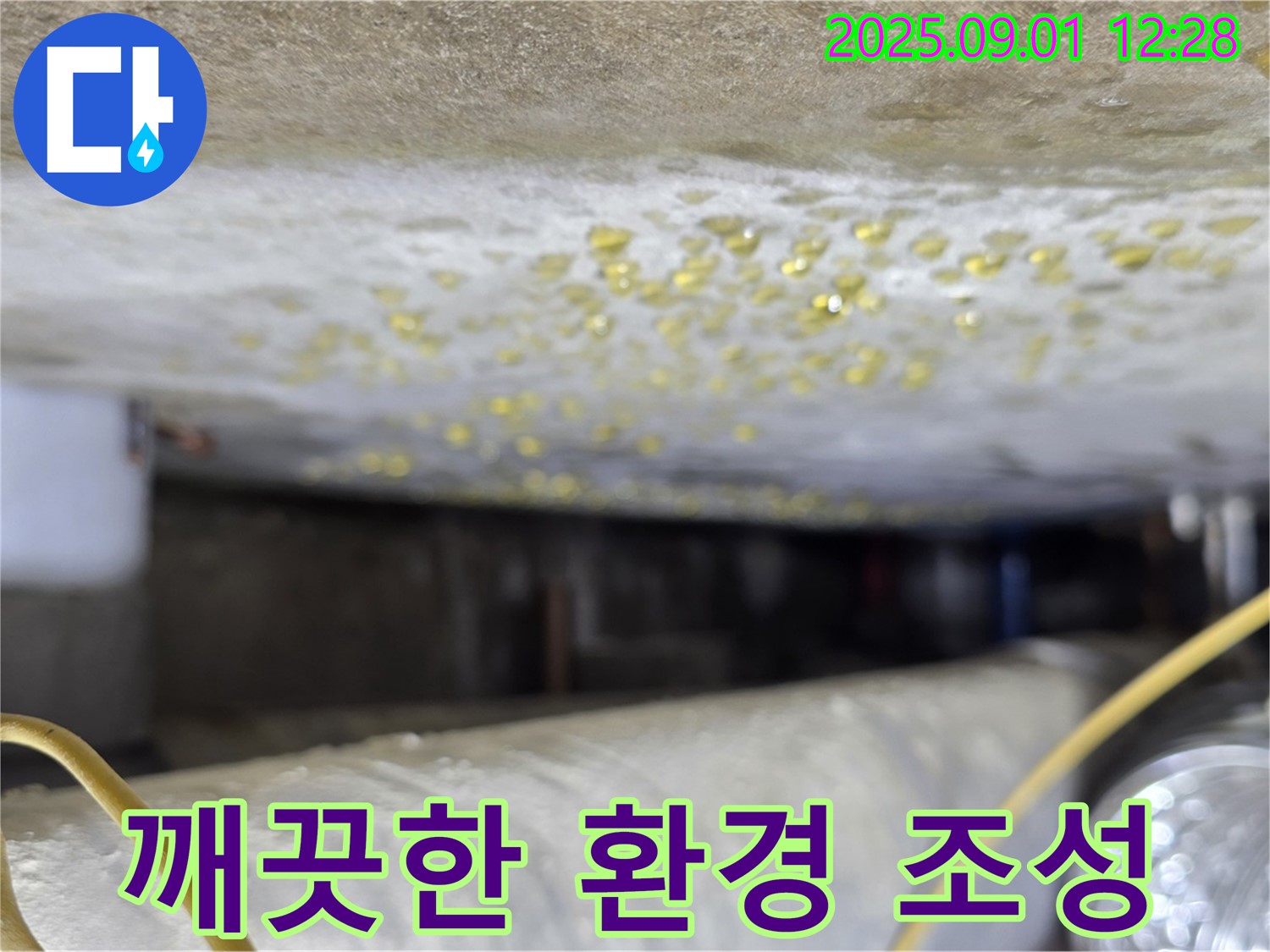 광진구 능동 아성빌라트 - 결로와 곰팡이 제거 후 깨끗해진 천장