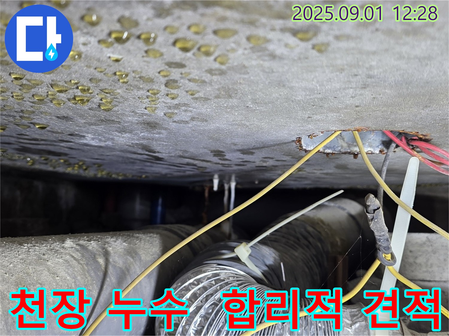 능동 다세대주택 천장 - 합리적인 견적으로 누수 문제 해결