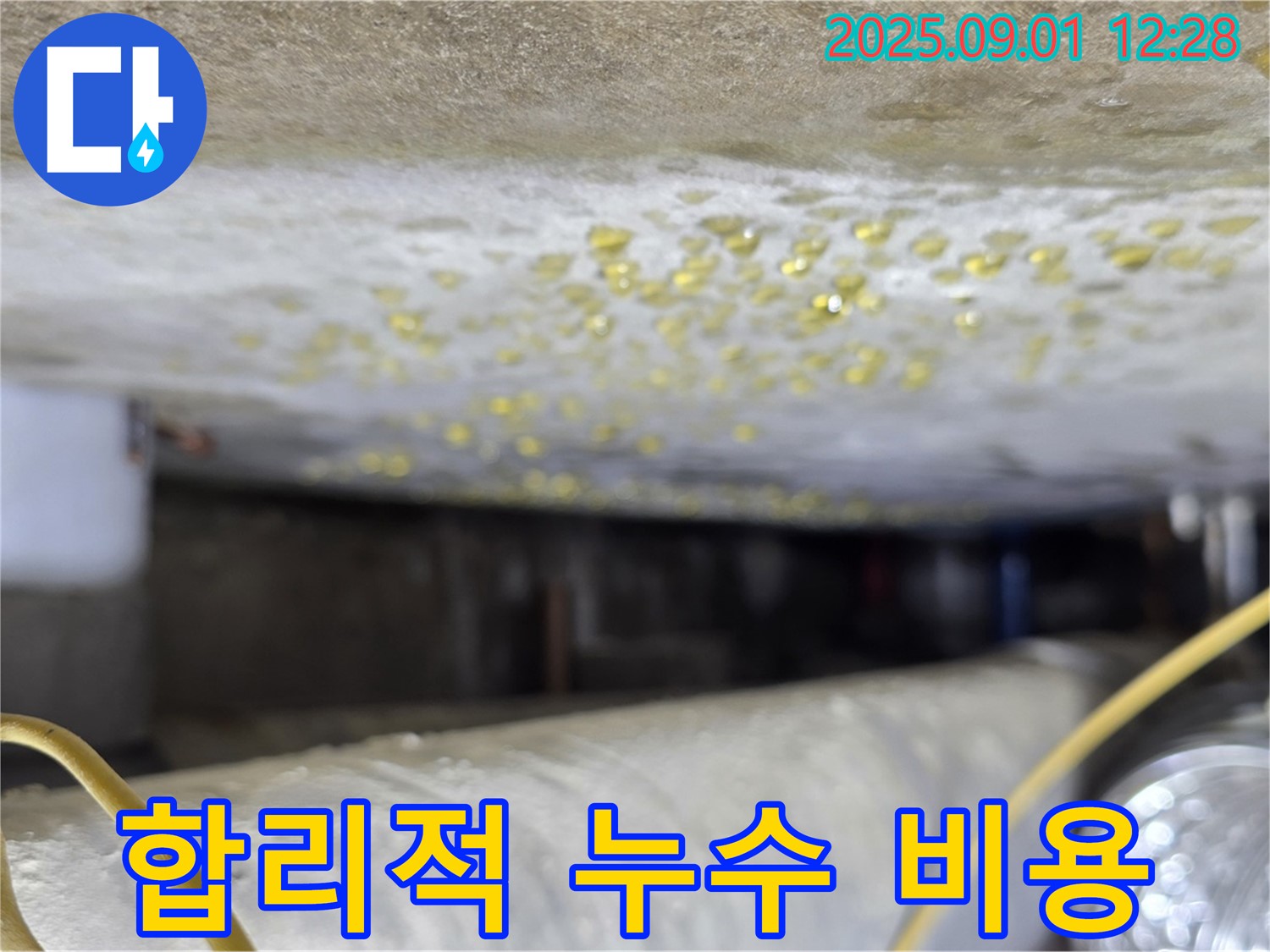능동 아성빌라트 천장 누수 - 합리적인 비용으로 누수 해결!