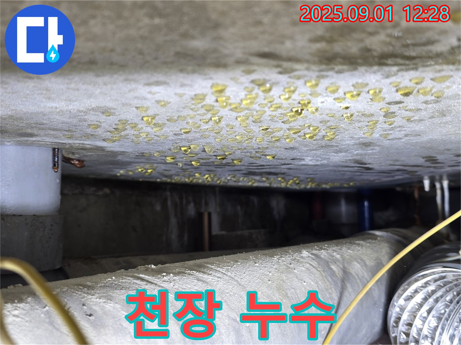 능동 천장 누수 - 누수 고민 해결, 완벽 시공