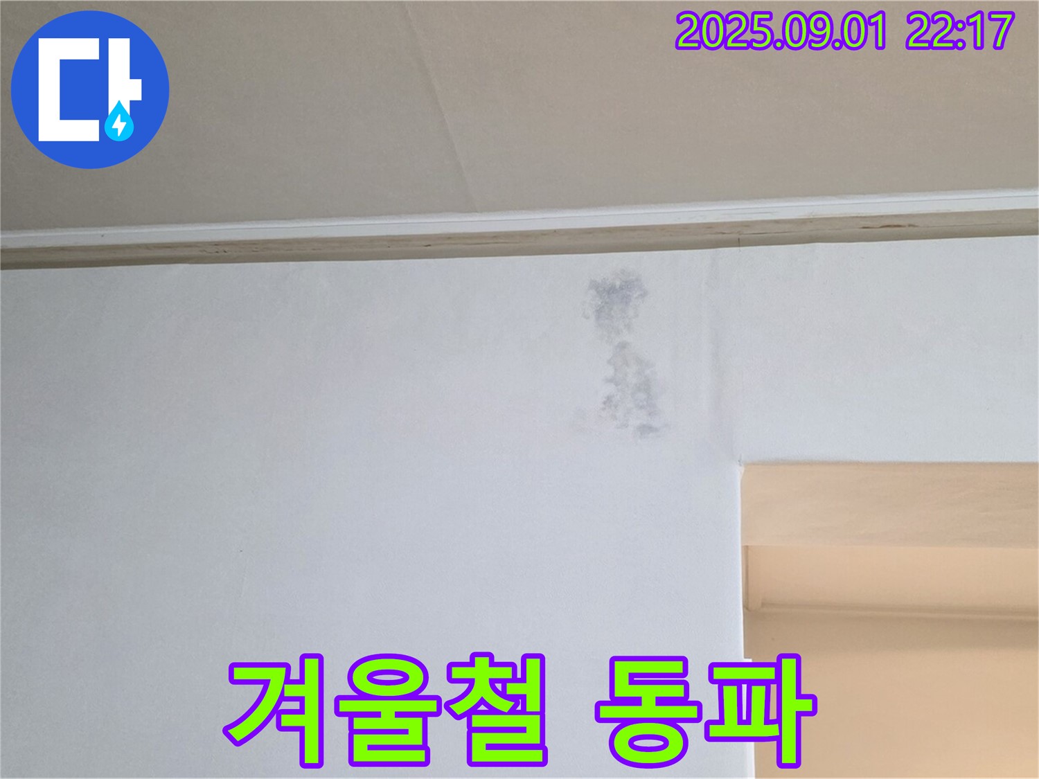 벽 누수 - 겨울철 동파 주의 - 사전 점검