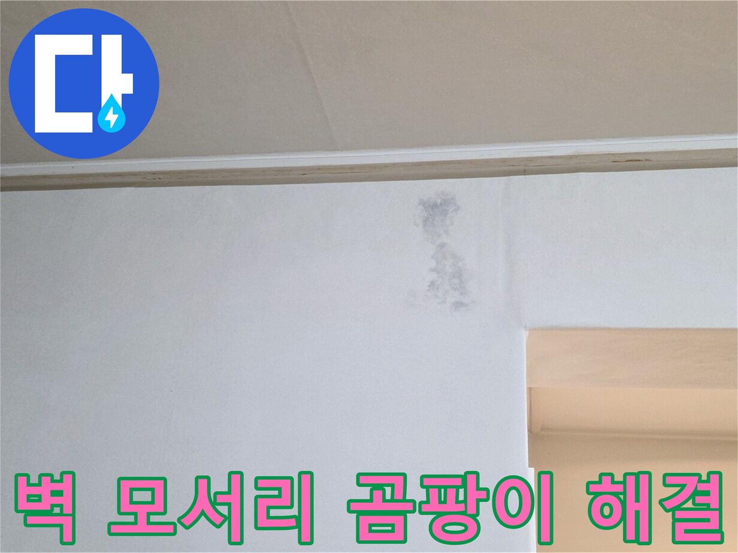 벽 모서리 곰팡이 - 누수 문제 해결 전문가가 곰팡이 문제를 해결합니다.