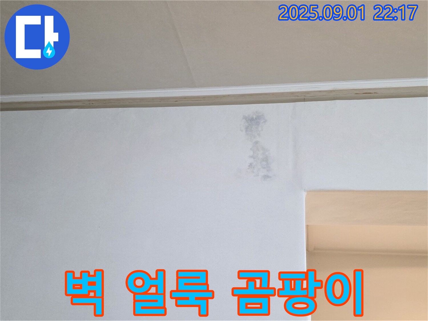 벽 얼룩 - 곰팡이 - 누수 초기 증상 의심