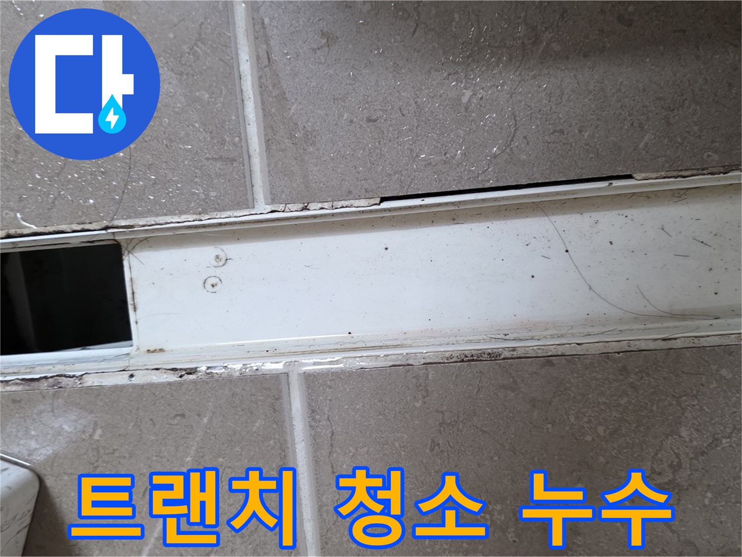 오염된 욕실 트랜치 - 누수