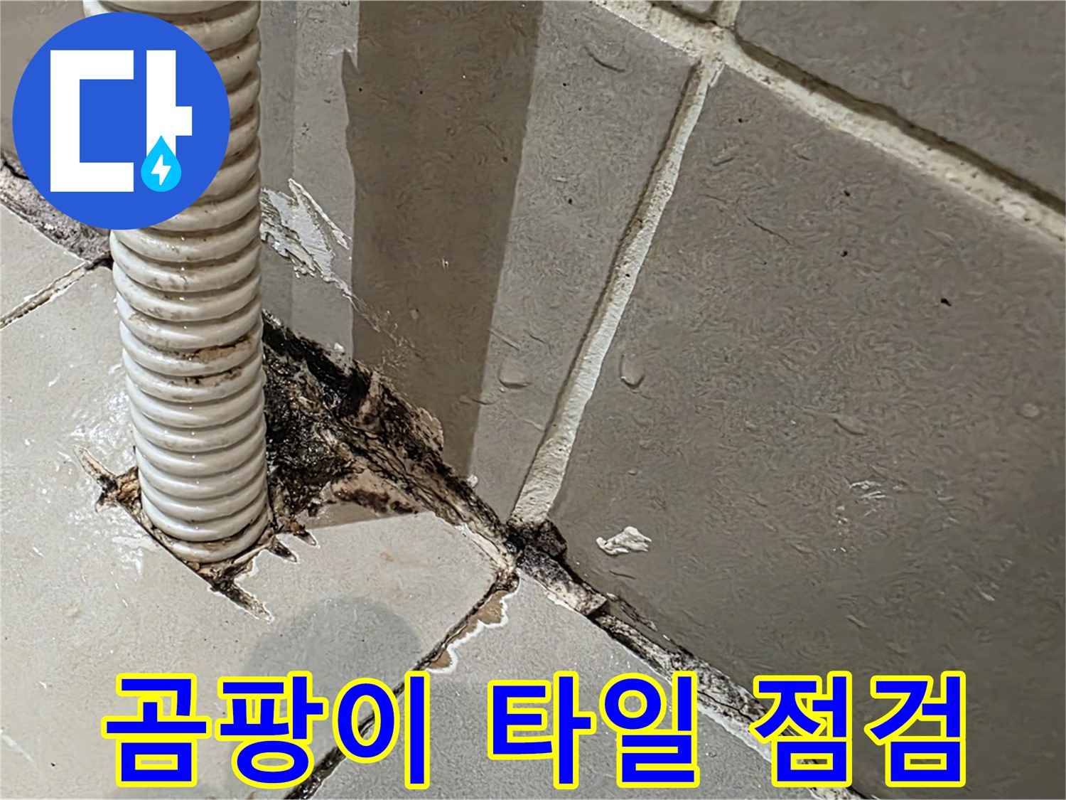 용산구 상가 화장실 누수 - 배관 주변 곰팡이와 타일 들뜸 꼼꼼 점검