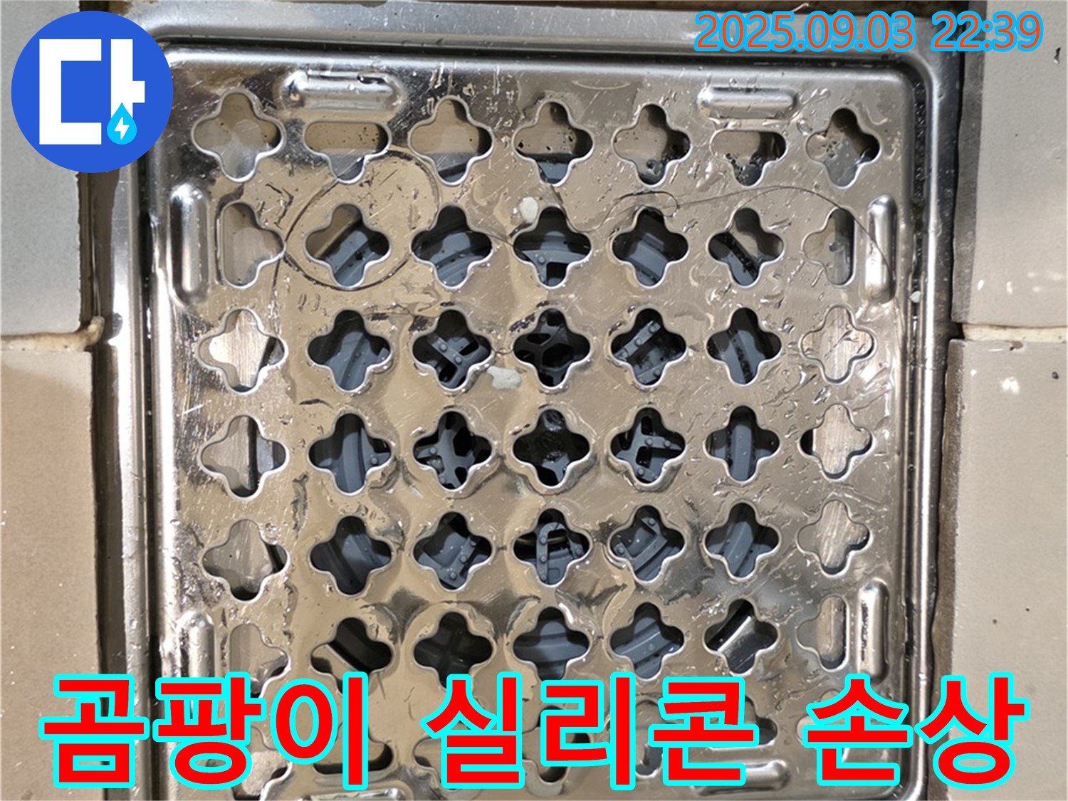 용산구 용산동2가 욕실 - 배수구 주변 곰팡이와 실리콘 손상으로 인한 누수 발생 가능성