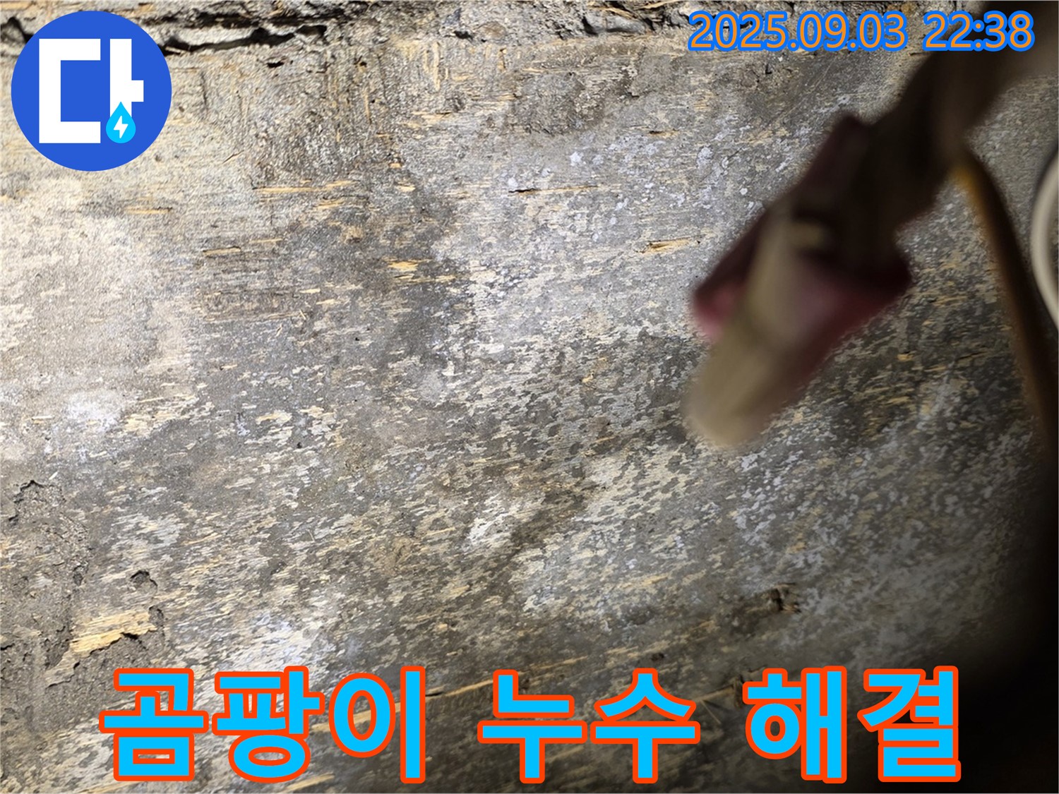 용산구 한강로2가 곰팡이 누수 해결 - 쾌적한 공간 조성