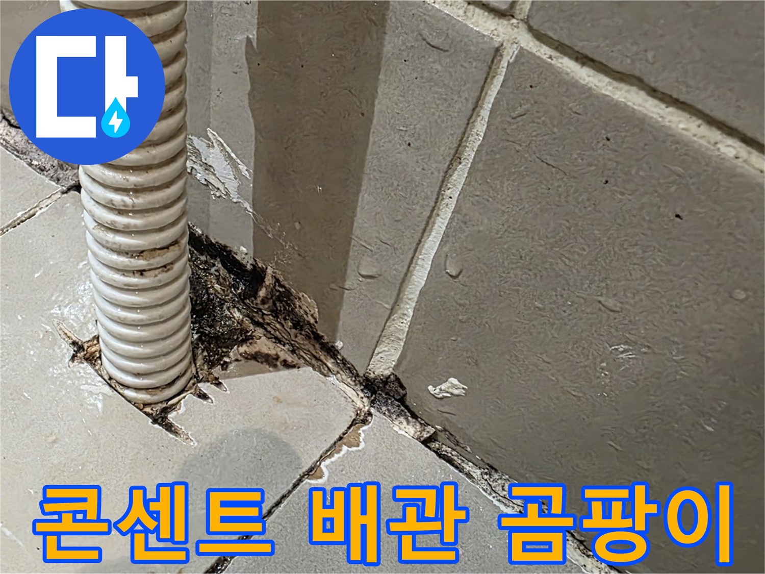 용산구 한강로2가 누수 - 콘센트 배관 주변 심각한 곰팡이 발생