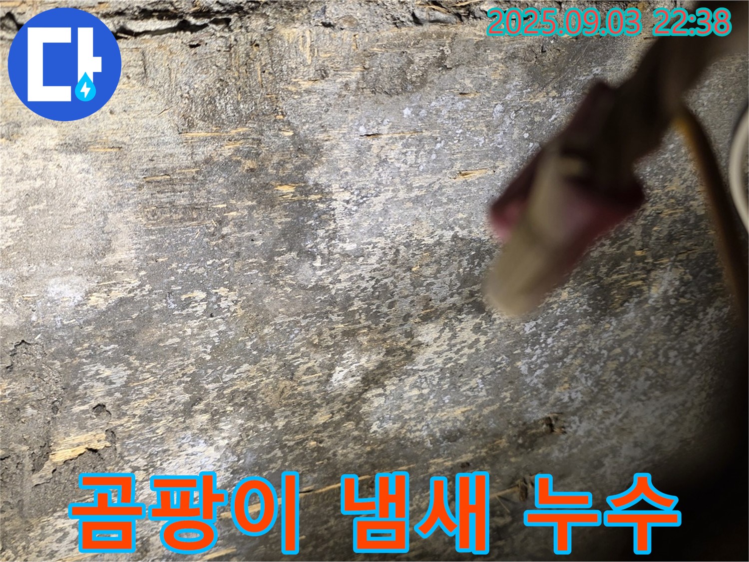 한강로2가 곰팡이 냄새 누수 - 누수 위치 추정