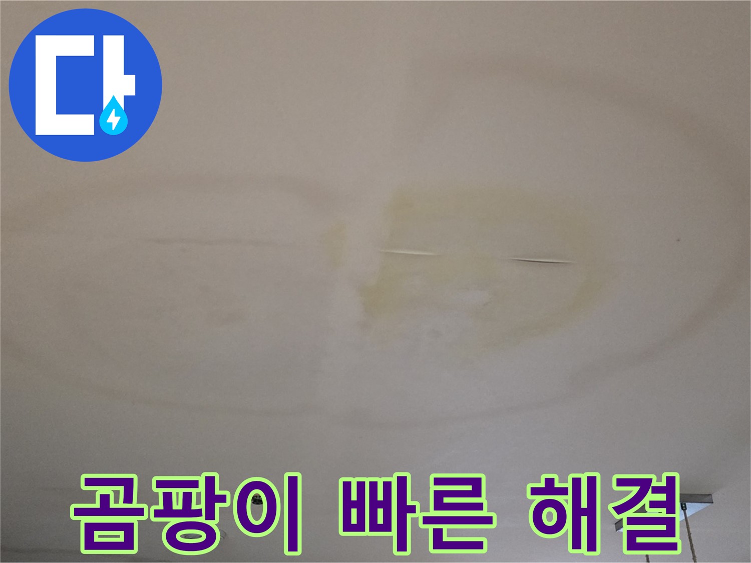 곰팡이 발생 전 - 빠른 누수 해결