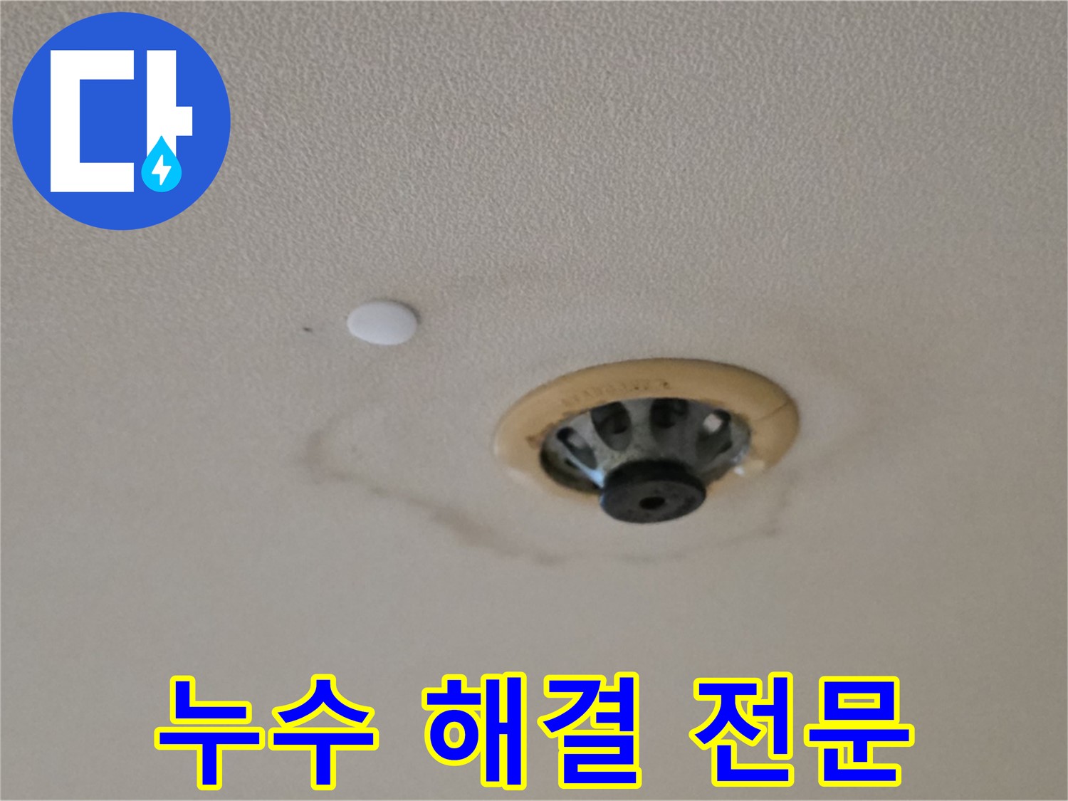 누수 해결 전문 - 첨단 장비 사용