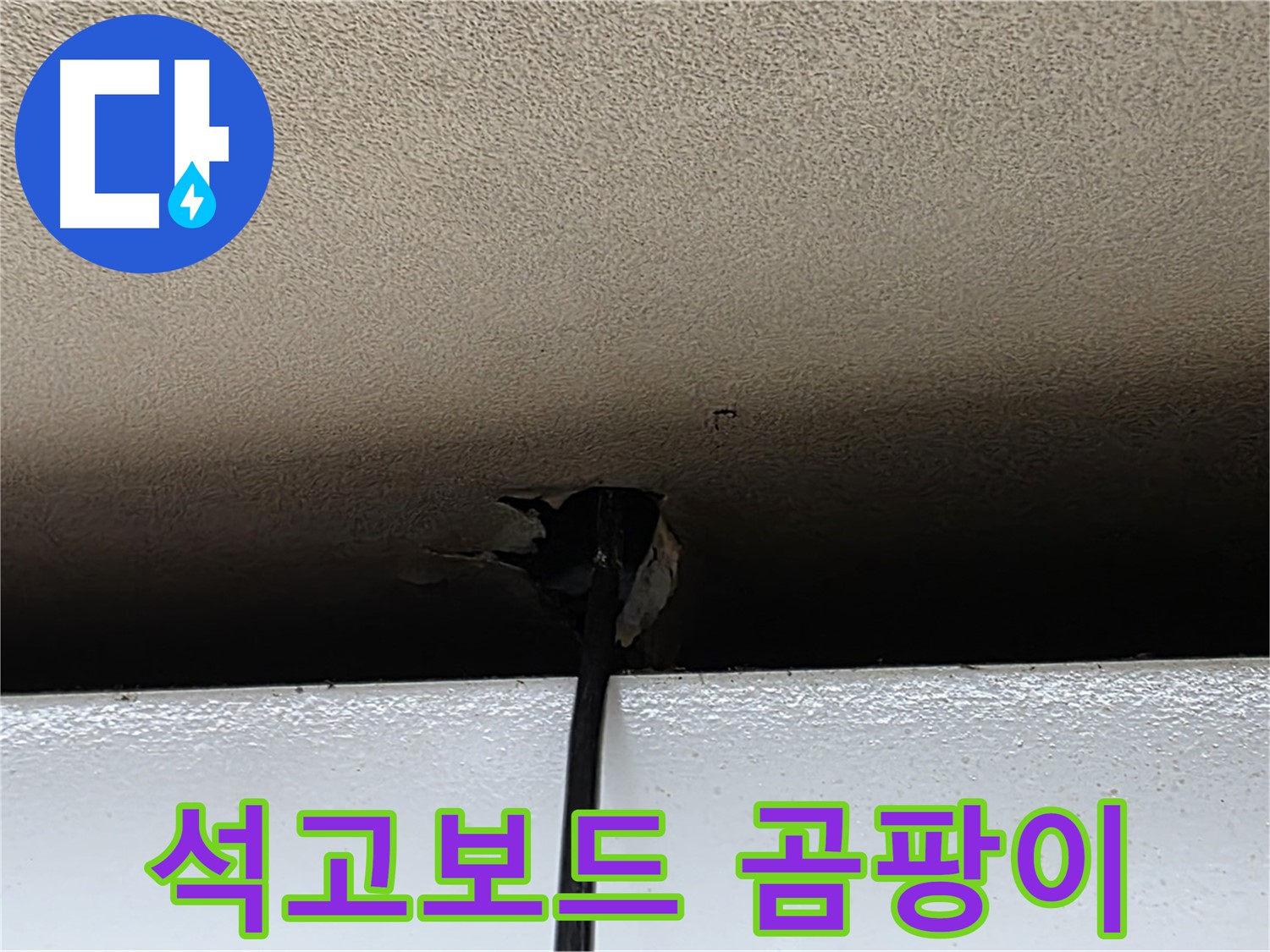 동대문구 누수 - 석고보드 곰팡이 발생, 건강 위협