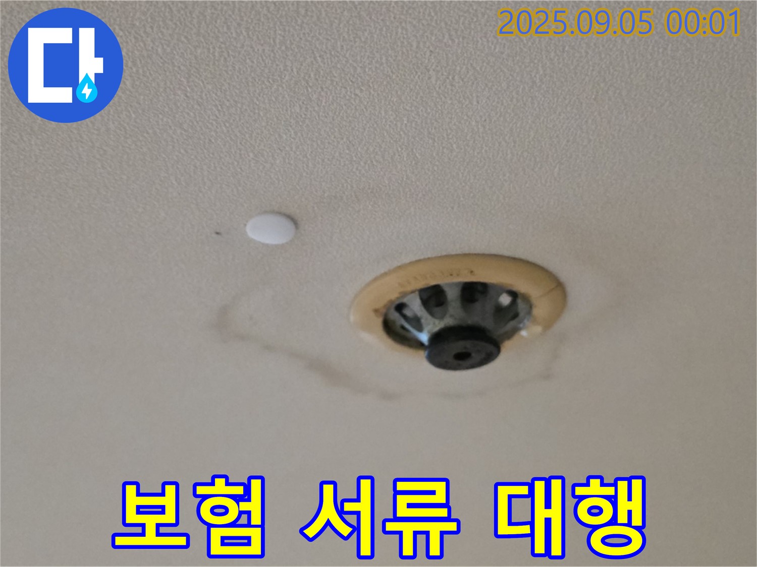 보험 서류 대행 - 복잡한 절차 해결.
