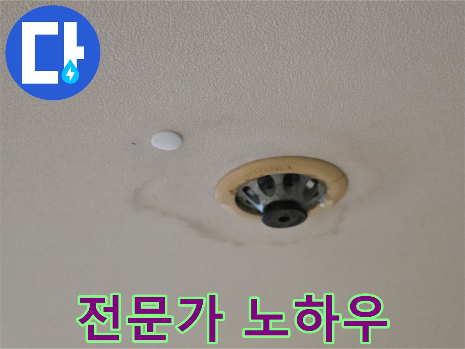 스프링클러 누수 전문가 - 숙련된 기술