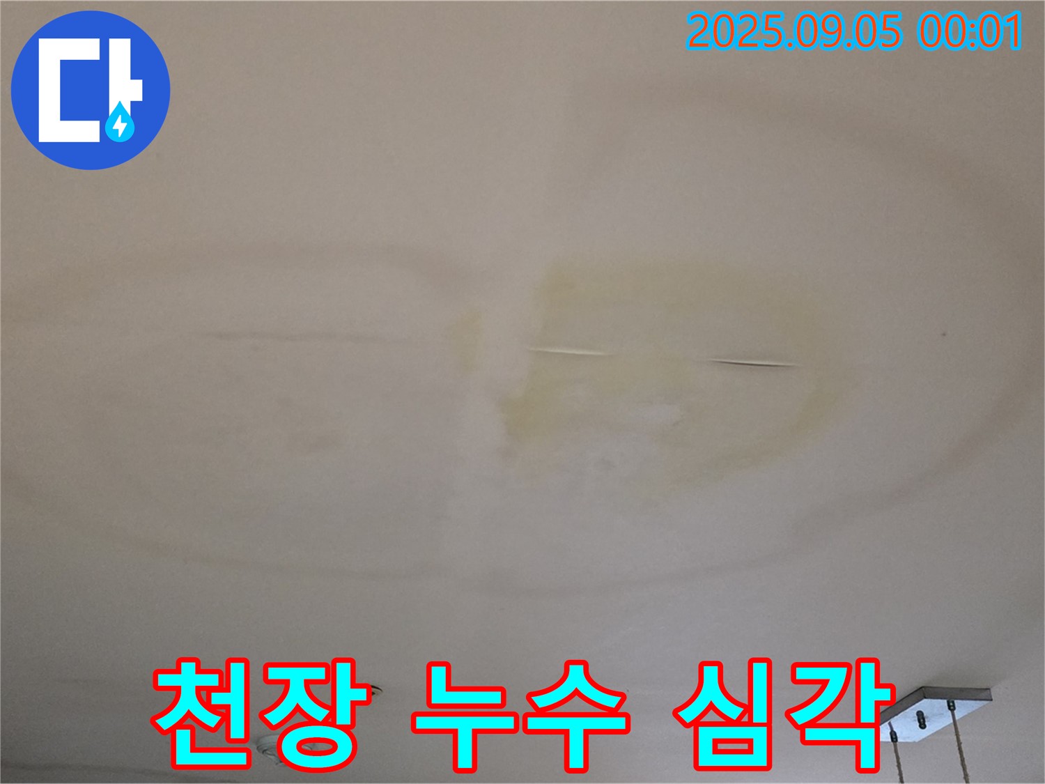 심각한 천장 누수 - 즉시 해결