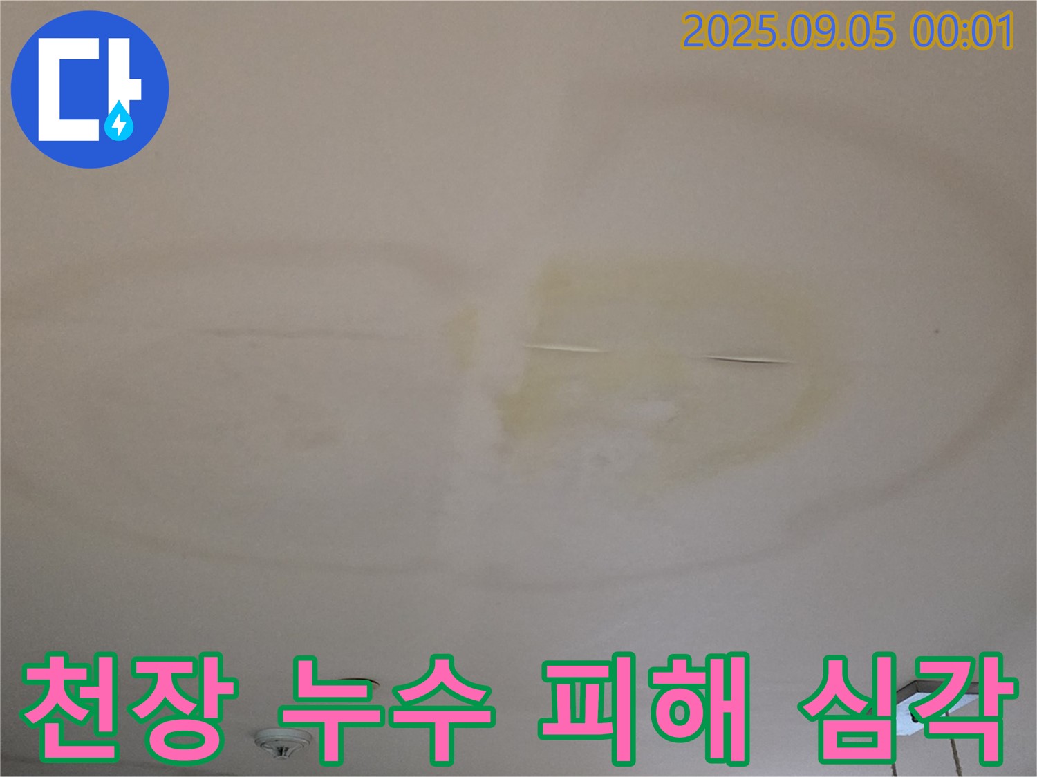 심각한 천장 누수 피해 - 곰팡이 발생 가능성