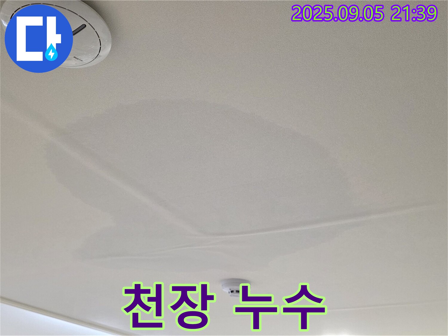 면목동 센트럴아이파크 천장 누수 - 젖어있는 천장