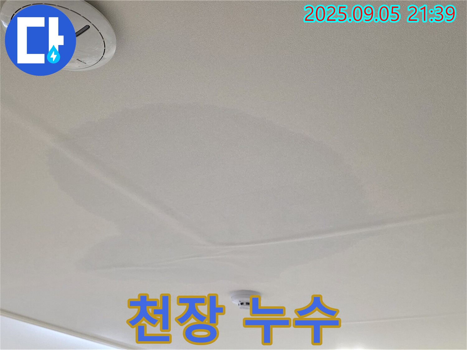 면목동 센트럴아이파크 천장 누수 - 젖어있는 천장