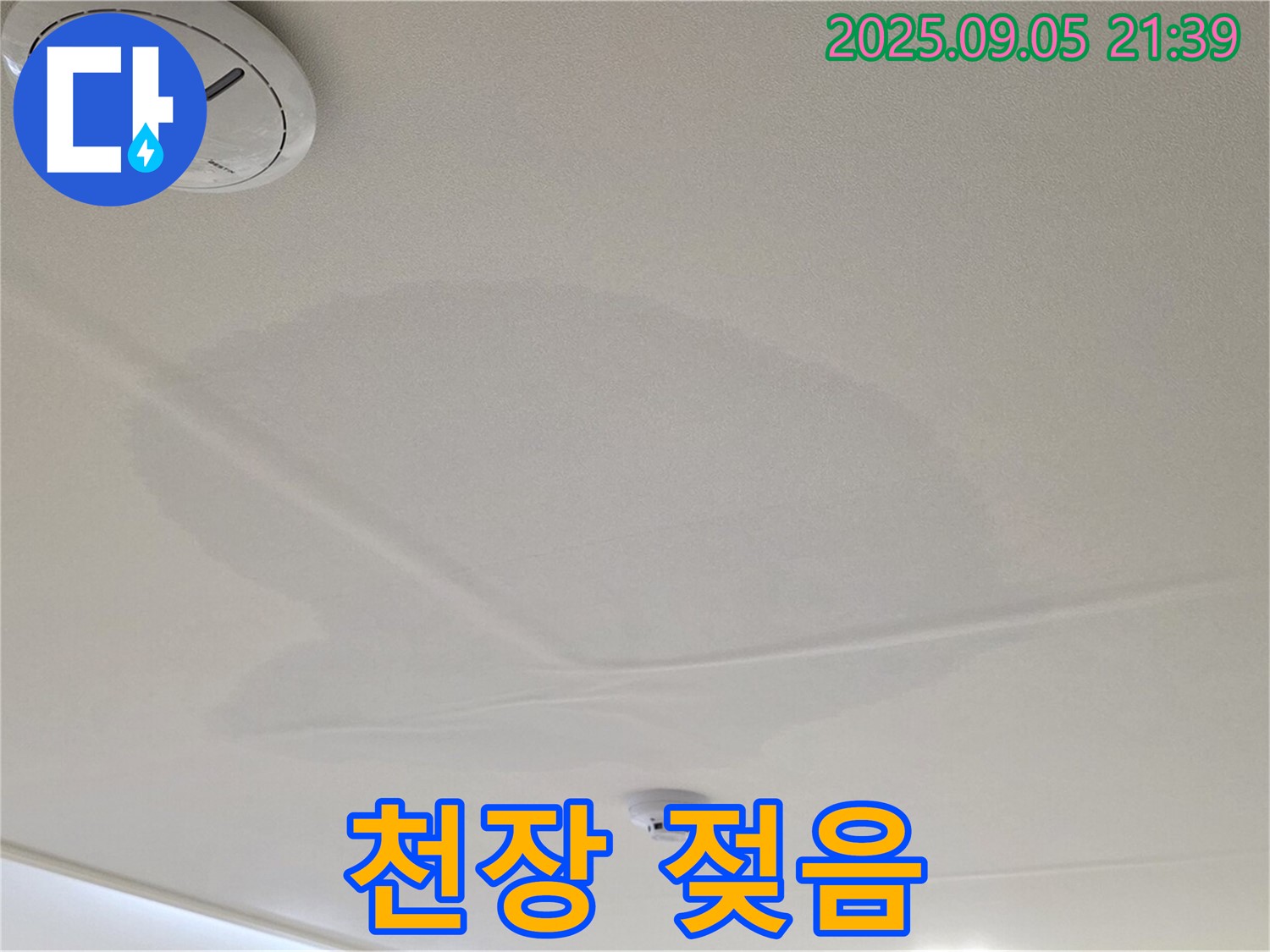 면목동 센트럴아이파크 천장 누수 - 젖어있는 천장