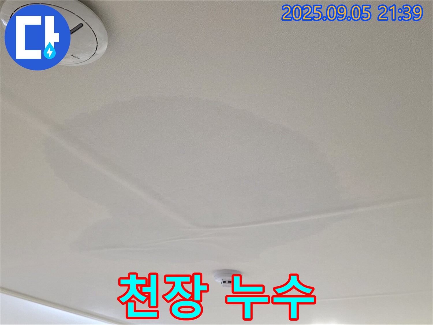 면목동 센트럴아이파크 천장 누수 - 젖어있는 천장