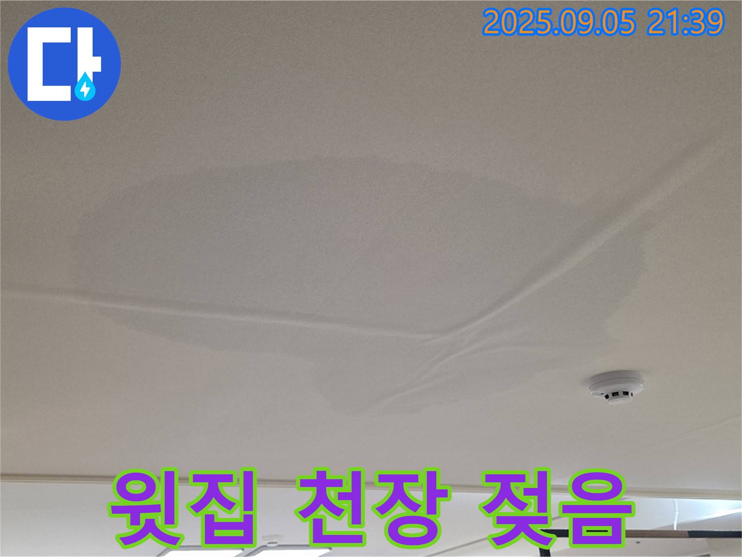 면목동 아파트 누수 - 윗집 천장 젖음, 누수 의심