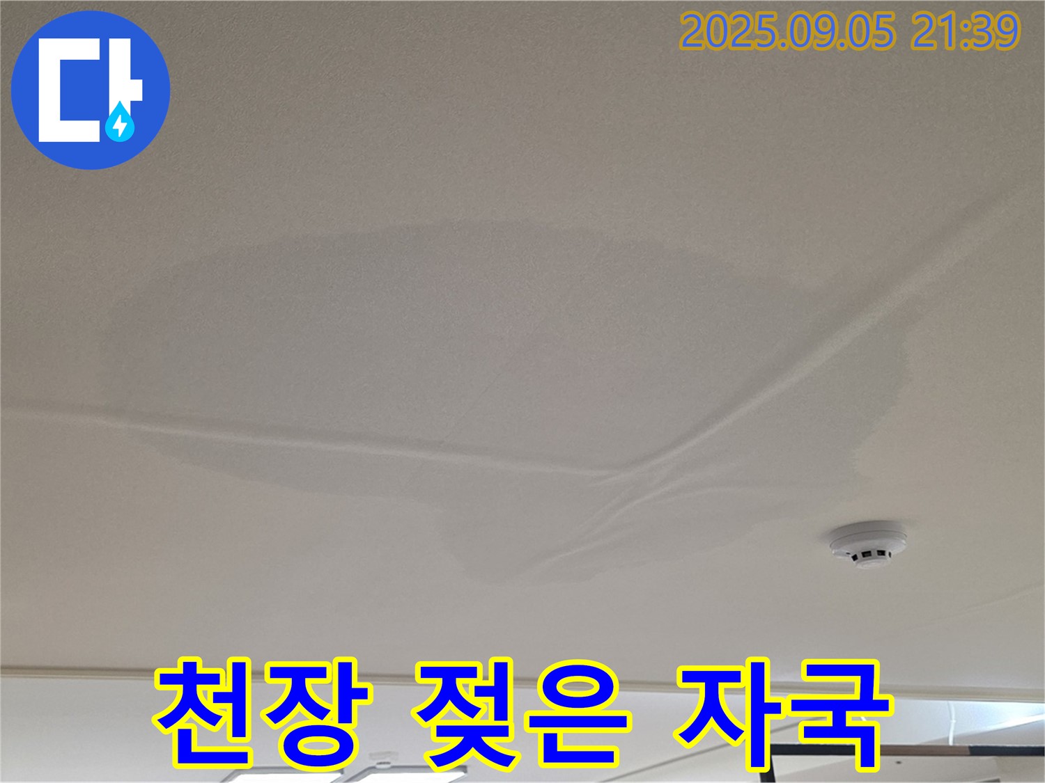 면목동 아파트 누수 - 천장 젖은 자국, 누수 의심