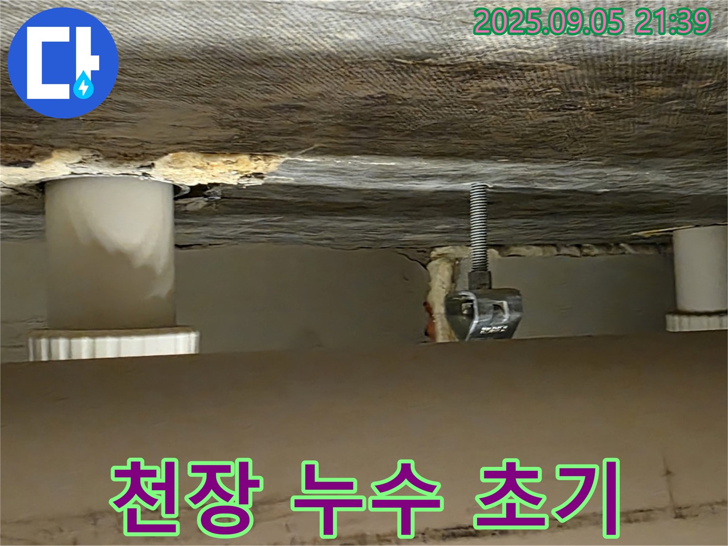 면목동 아파트 천장 누수 초기 - 정밀 점검 시작
