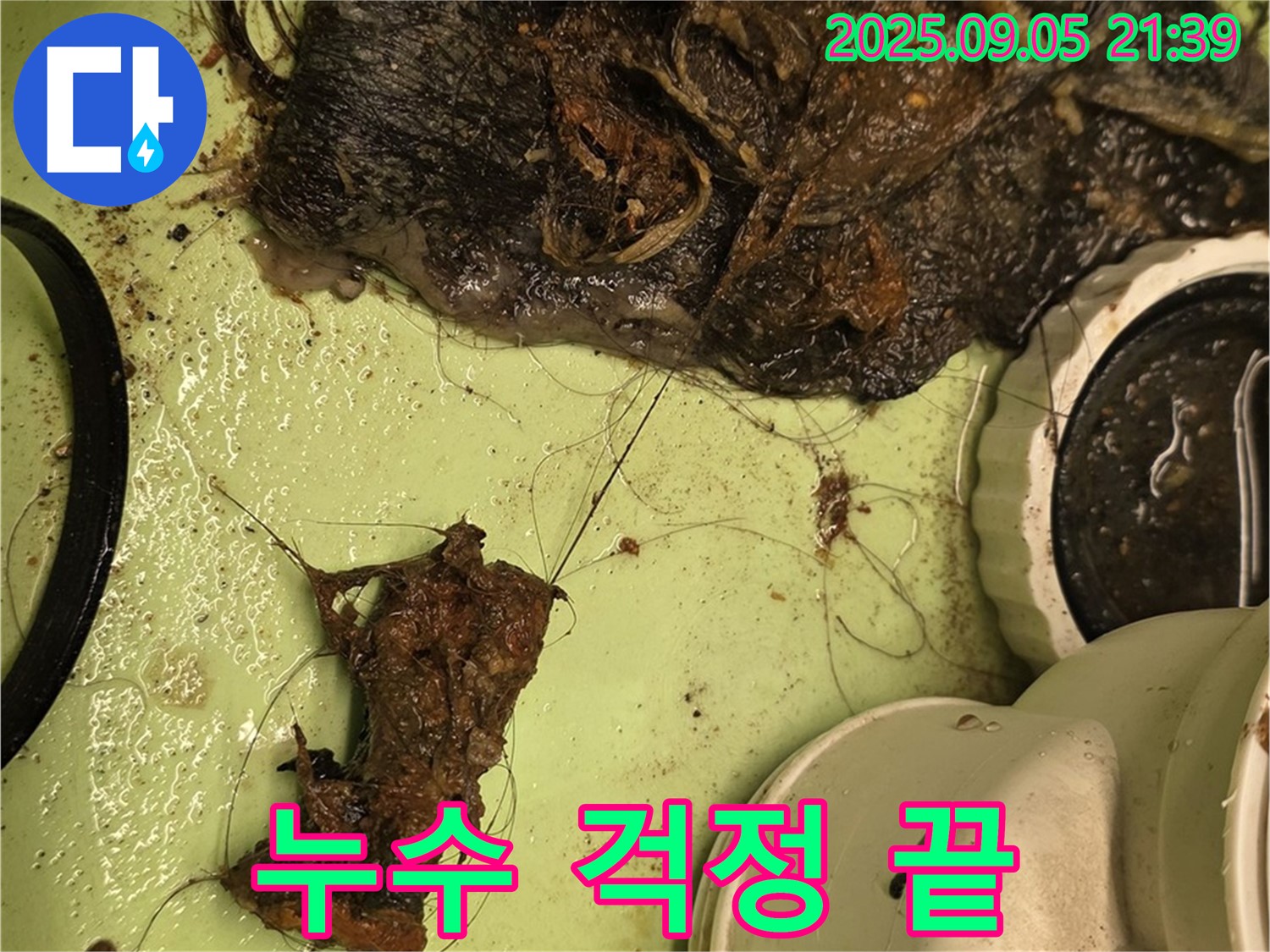배수구 막힘 - 누수 걱정 끝 - 쾌적한 욕실