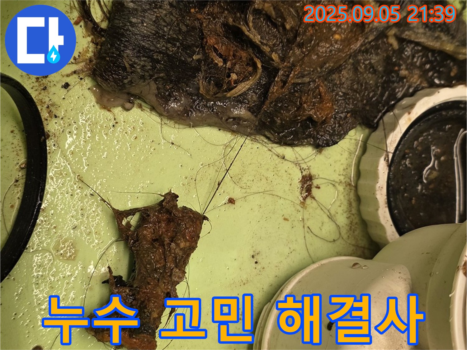 배수구 막힘 - 누수 고민 해결사 - 전문가