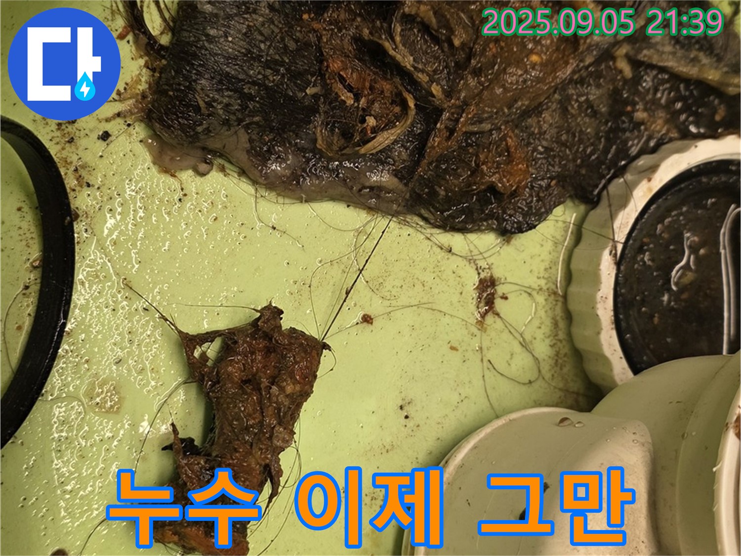배수구 막힘 - 누수 이제 그만 - 쾌적한 욕실