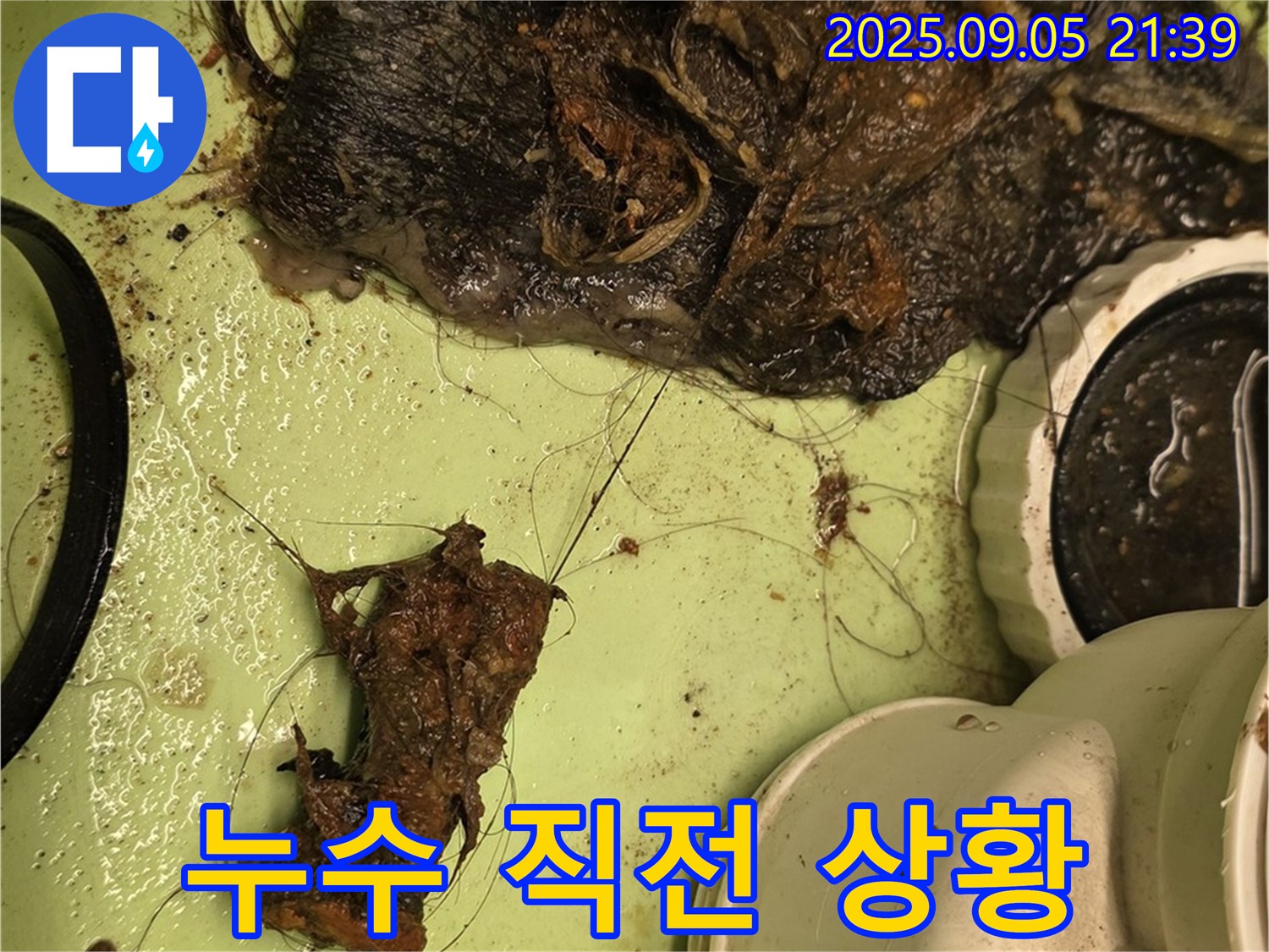배수구 막힘 - 누수 직전 - 긴급 조치 필요
