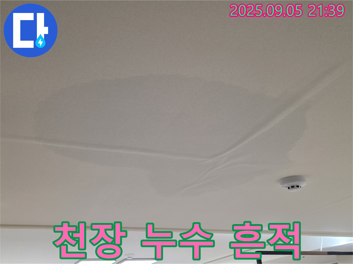 사가정 센트럴아이파크 아파트 윗집 누수 - 천장 누수 흔적, 젖은 천장