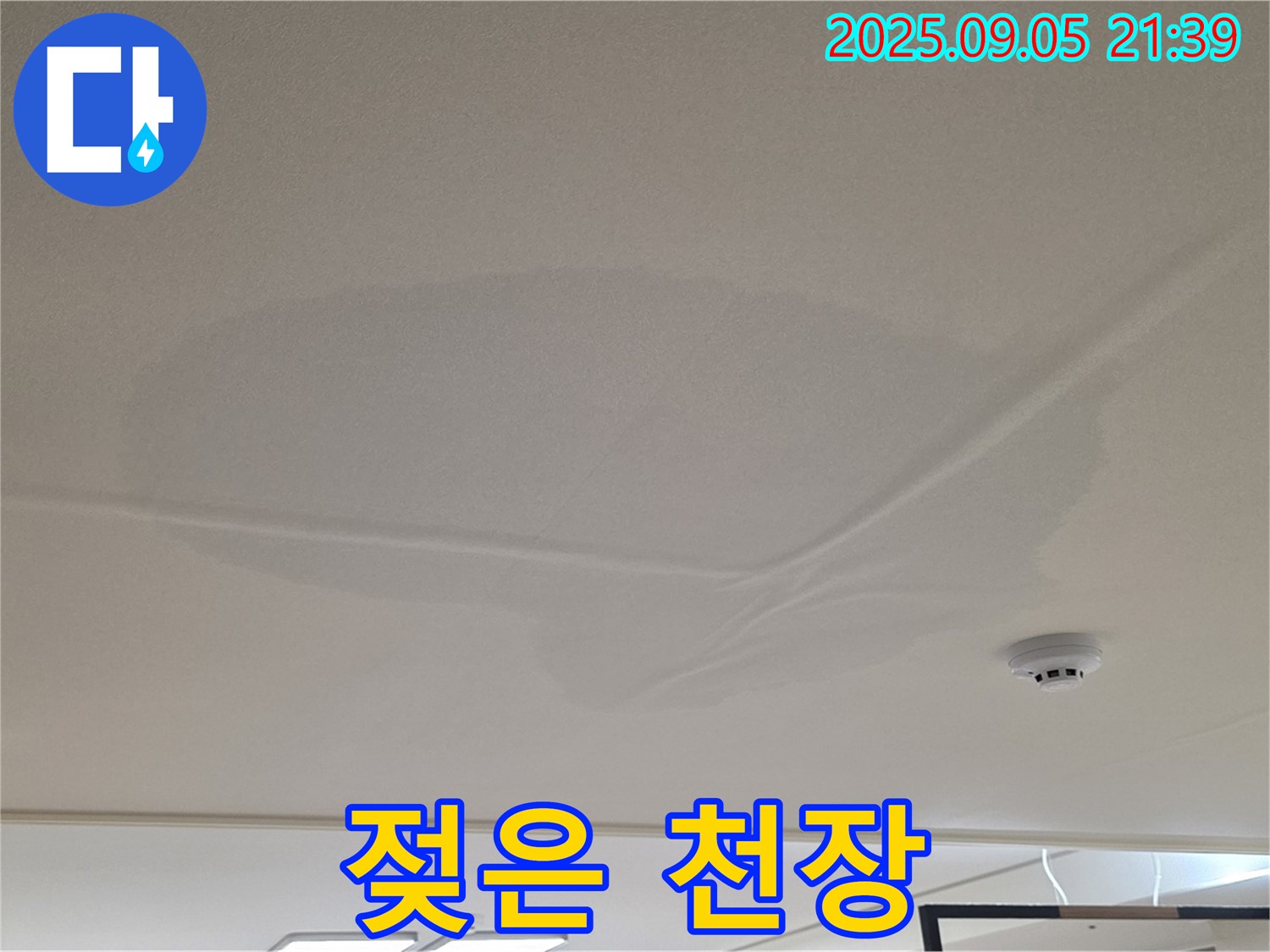 사가정 센트럴아이파크 - 천장 젖은 흔적, 누수 의심