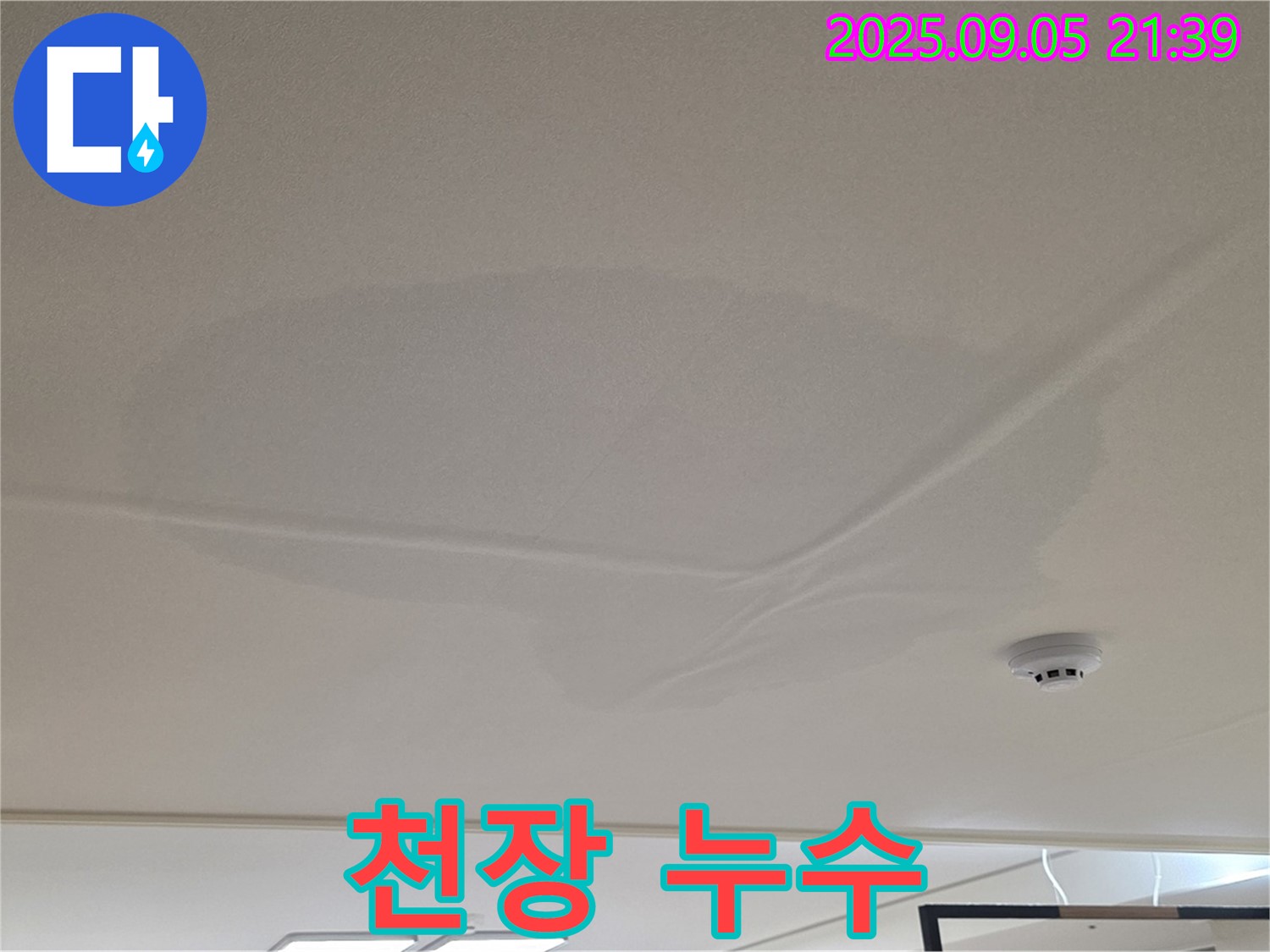 사가정 아파트 누수 - 천장 누수 피해, 젖어있는 천장