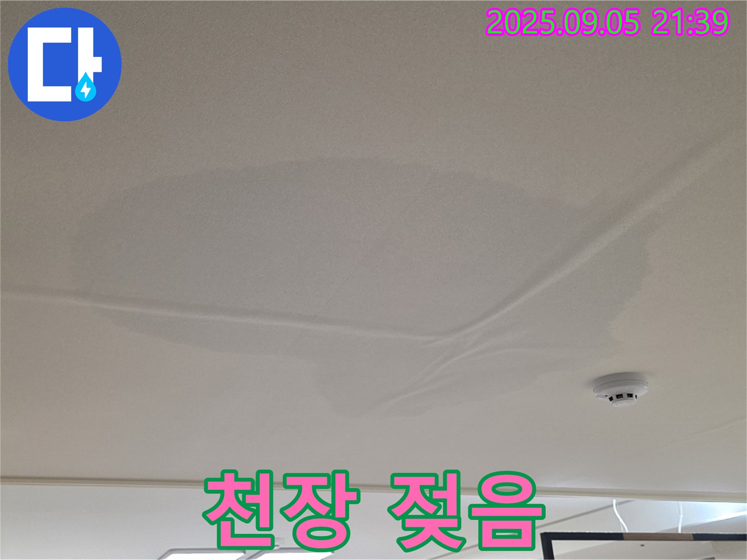 사가정 아파트 누수 - 천장 젖음, 누수 흔적