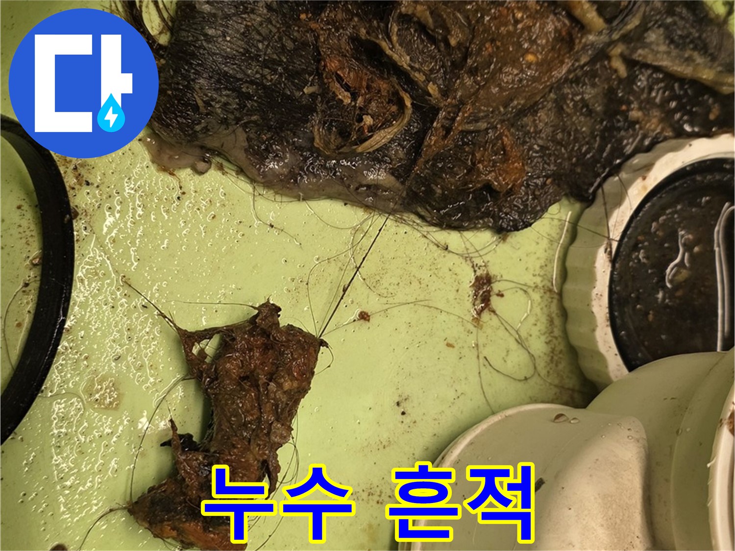 세면대 누수 - 세면대 주변의 물 얼룩과 곰팡이